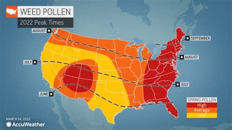 Accuweather allergy count - AccuWeather Global Weather Center – March 16, 2022 – The latter part of winter has been brutally cold across much of the United States, and March has brought typical wild swings in the weather. So, it’s no wonder that many Americans may be eager to get outside and enjoy the fresh air and consistent warmth. But for the millions of people ...